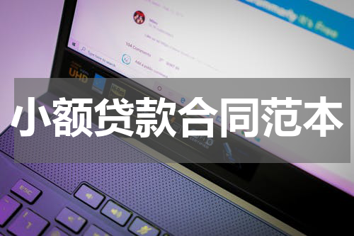 小额贷款合同范本