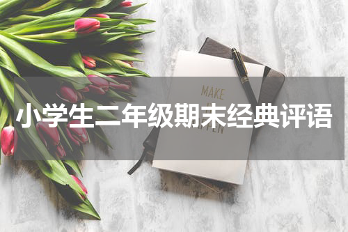 小学生二年级期末经典评语