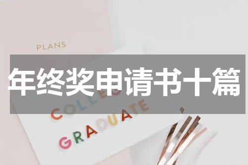 年终奖申请书十篇