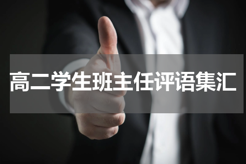 高二学生班主任评语集汇