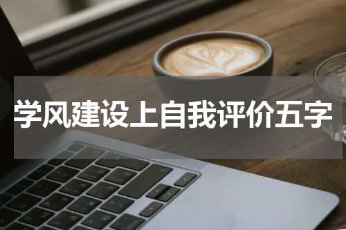 学风建设上自我评价五字