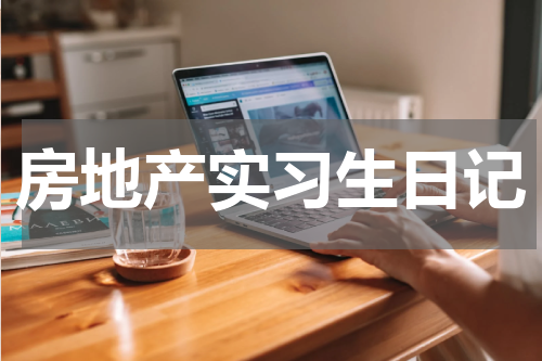 房地产实习生日记