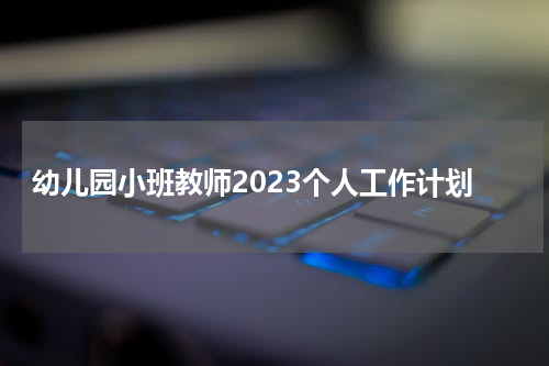 幼儿园小班教师2023个人工作计划