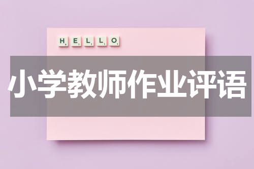 小学教师作业评语