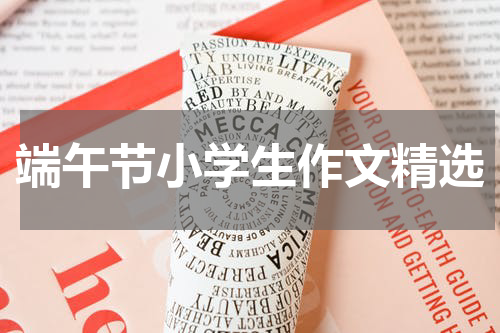 端午节小学生作文精选
