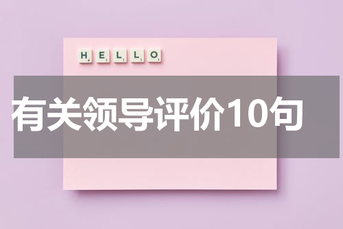 有关领导评价10句