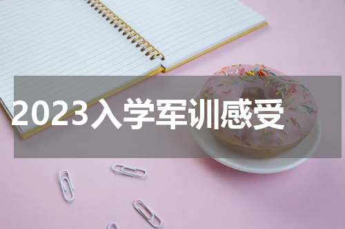 2023入学军训感受