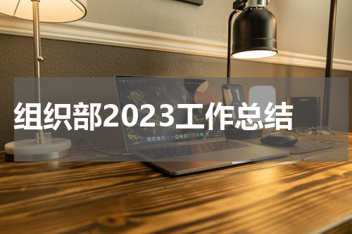 组织部2023工作总结