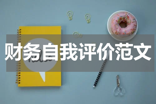 财务自我评价范文