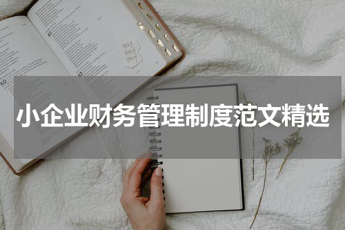 小企业财务管理制度范文精选