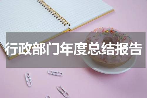 行政部门年度总结报告