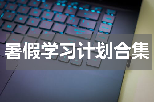 暑假学习计划合集