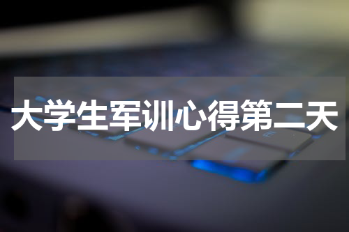 大学生军训心得第二天