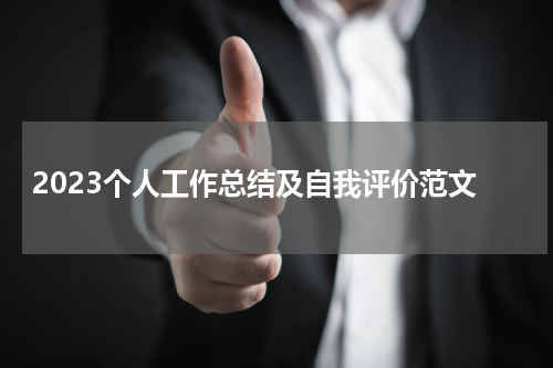 2023个人工作总结及自我评价范文