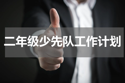 二年级少先队工作计划