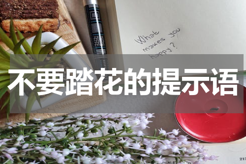 不要踏花的提示语