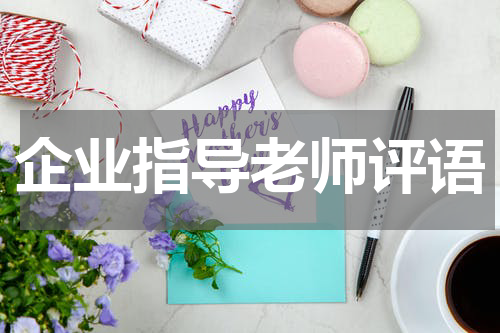 企业指导老师评语