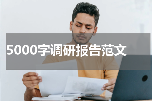 5000字调研报告范文