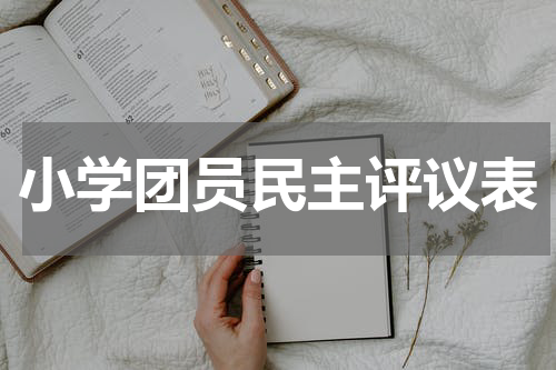 小学团员民主评议表