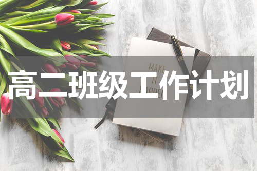 高二班级工作计划