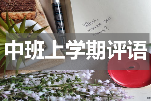 中班上学期评语