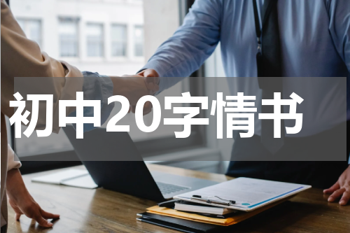 初中20字情书