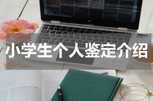 小学生个人鉴定介绍