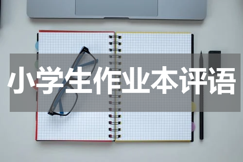 小学生作业本评语