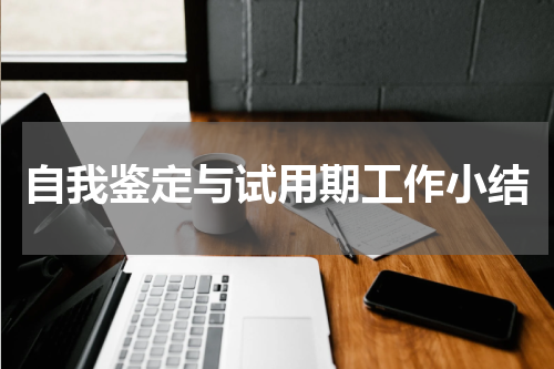 自我鉴定与试用期工作小结