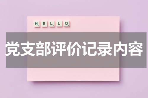 党支部评价记录内容