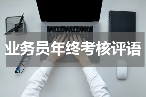 业务员年终考核评语