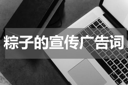 粽子的宣传广告词