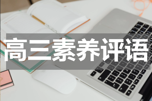 高三素养评语