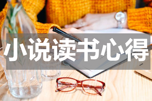 小说读书心得