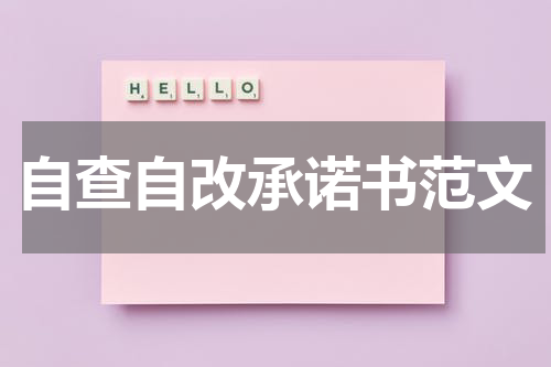 自查自改承诺书范文