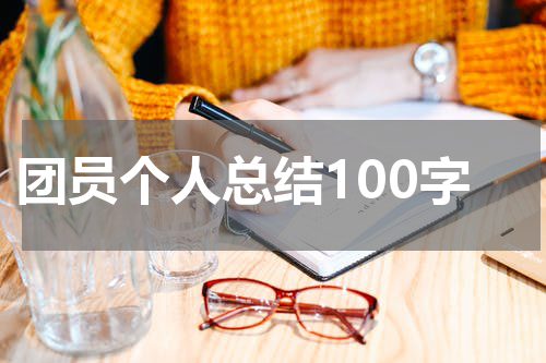 团员个人总结100字