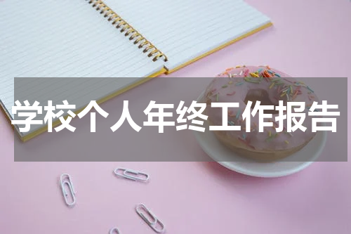 学校个人年终工作报告