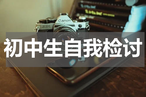 初中生自我检讨