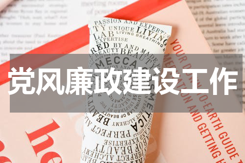 党风廉政建设工作