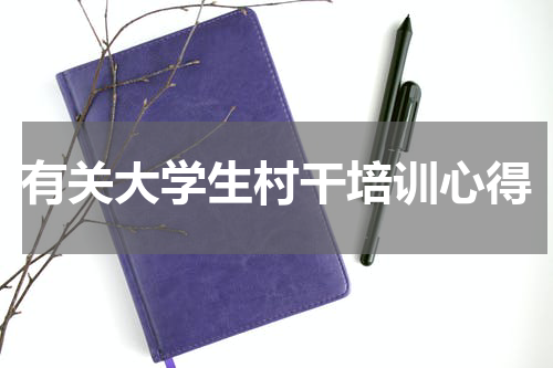 有关大学生村干培训心得