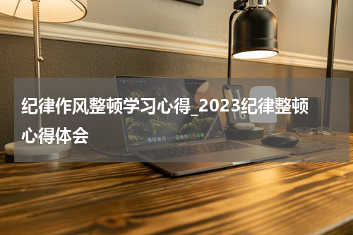 纪律作风整顿学习心得_2023纪律整顿心得体会