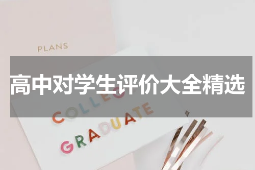高中对学生评价大全精选