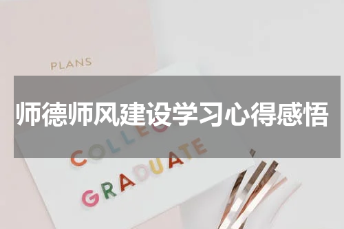 师德师风建设学习心得感悟