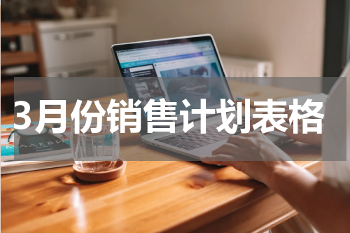 3月份销售计划表格