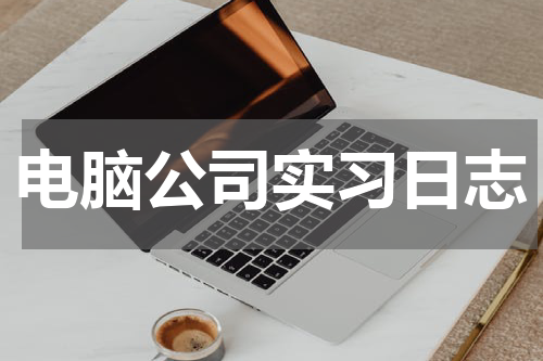 电脑公司实习日志
