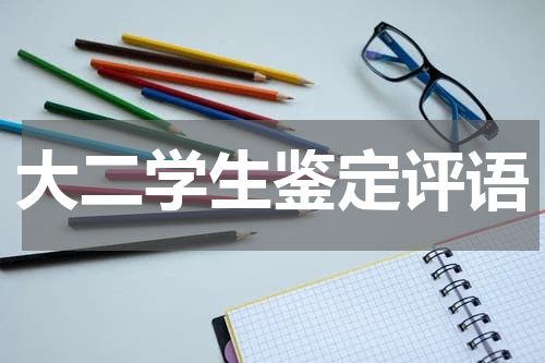 大二学生鉴定评语