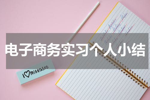 电子商务实习个人小结