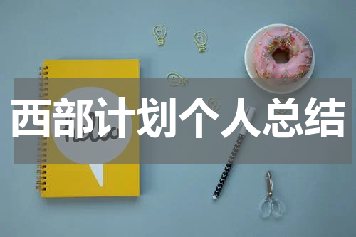 西部计划个人总结