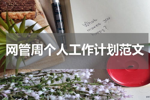 网管周个人工作计划范文