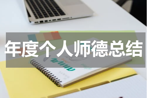 年度个人师德总结
